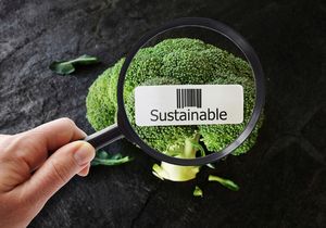 Brokkoli unter der Lupe mit Schild mit Aufschrift "sustainable"