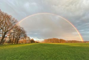 Vollständiger Regenbogen über Wiese